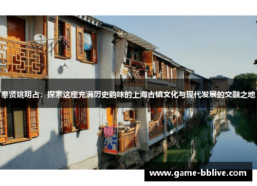 奉贤姚明占：探索这座充满历史韵味的上海古镇文化与现代发展的交融之地